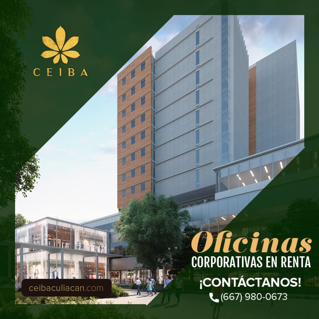 VidaCeiba's tweet photo. Infraestructura ideal para el posicionamiento de tu empresa dentro de nuestro complejo de oficinas.

¡Renta con nosotros!
Tel. (667) 980-0673
#CeibaCuliacán #Oficinas https://t.co/tPaFcd3UqG
