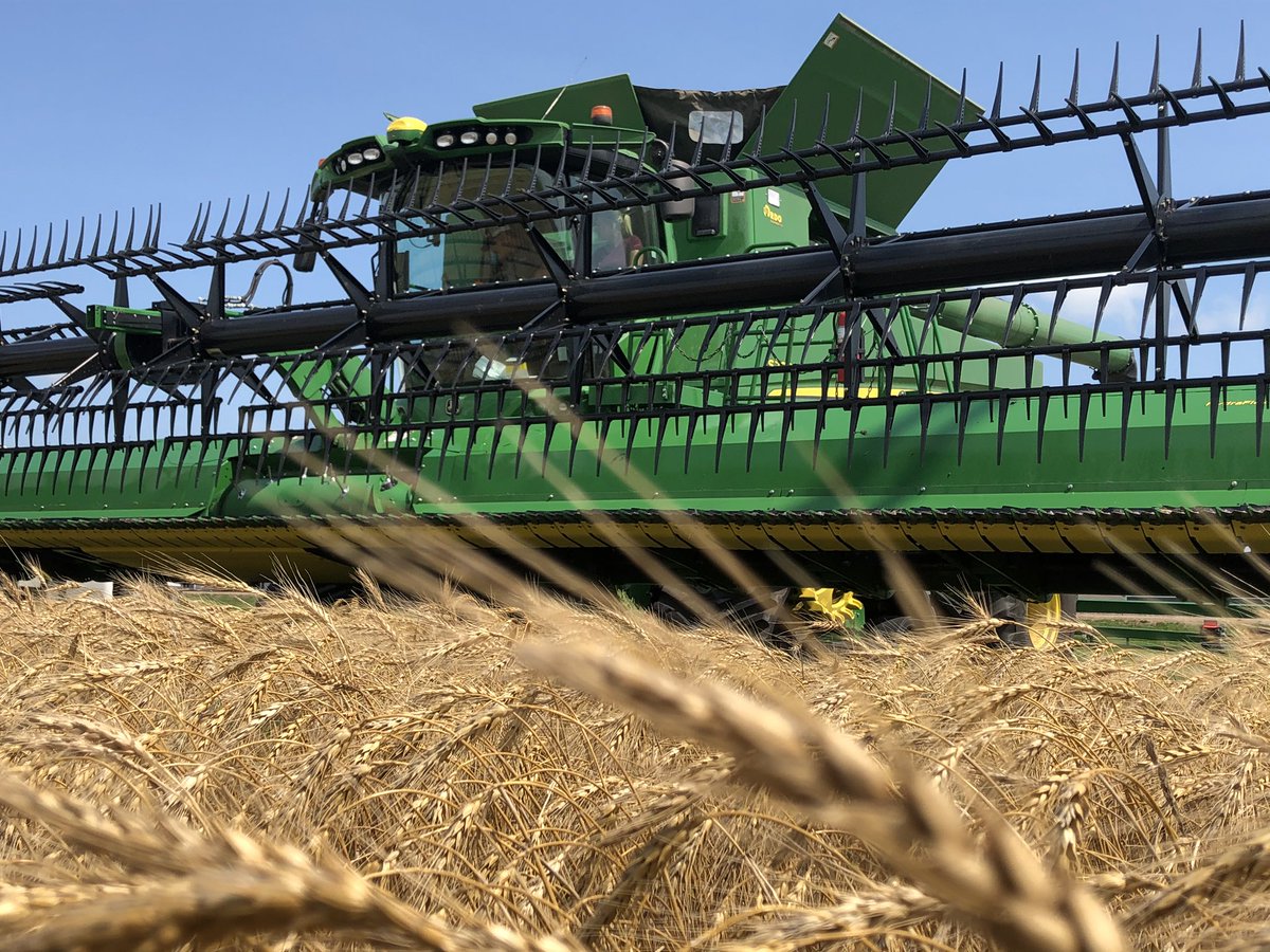 Jason Archbold tweet media