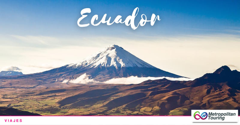 MetroTouringEC's tweet photo. ¡Explora a tu manera! Enamórate de Ecuador 🇪🇨

📸 Parque Nacional Cotopaxi

#TePrometoEcuador #Ecuador #viajar #vacaciones #descanso #familia #amigos https://t.co/MsdBJhdDrG