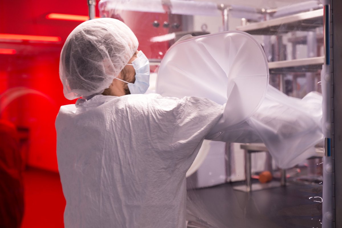 UCalgary researchers discover which gut bacteria help our immune system battle cancerous tumours and how they do it. Study shows combining immunotherapy with specific microbial therapy boosts immune system to recognize and attack cancer cells. Read more: bit.ly/3gWXuqx