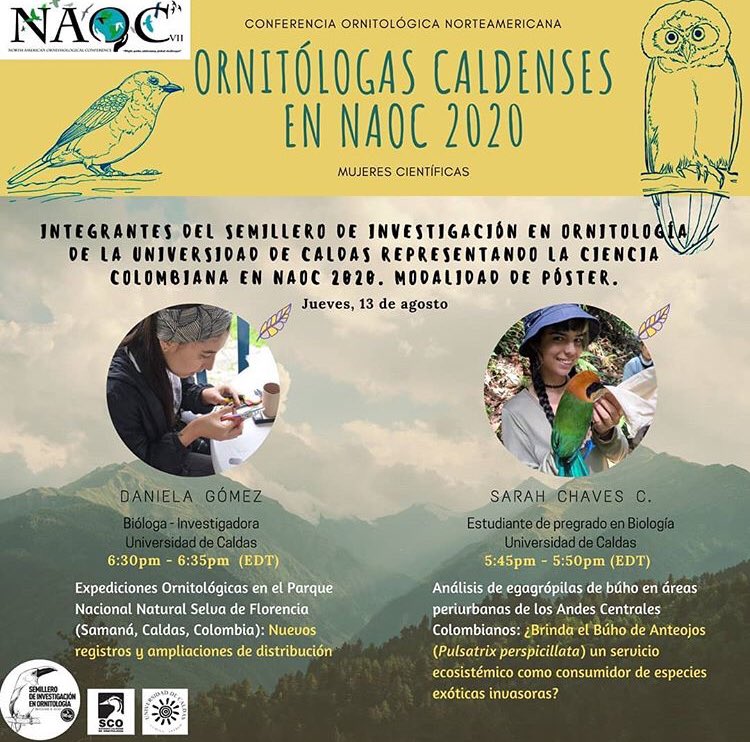 SCOrnitologia's tweet photo. Hoy! Investigadoras presentando sus trabajos en el #NAOC2020 sobre expediciones en #caldas y ecología de #búhos 🦉 https://t.co/D9f6LeLcKE