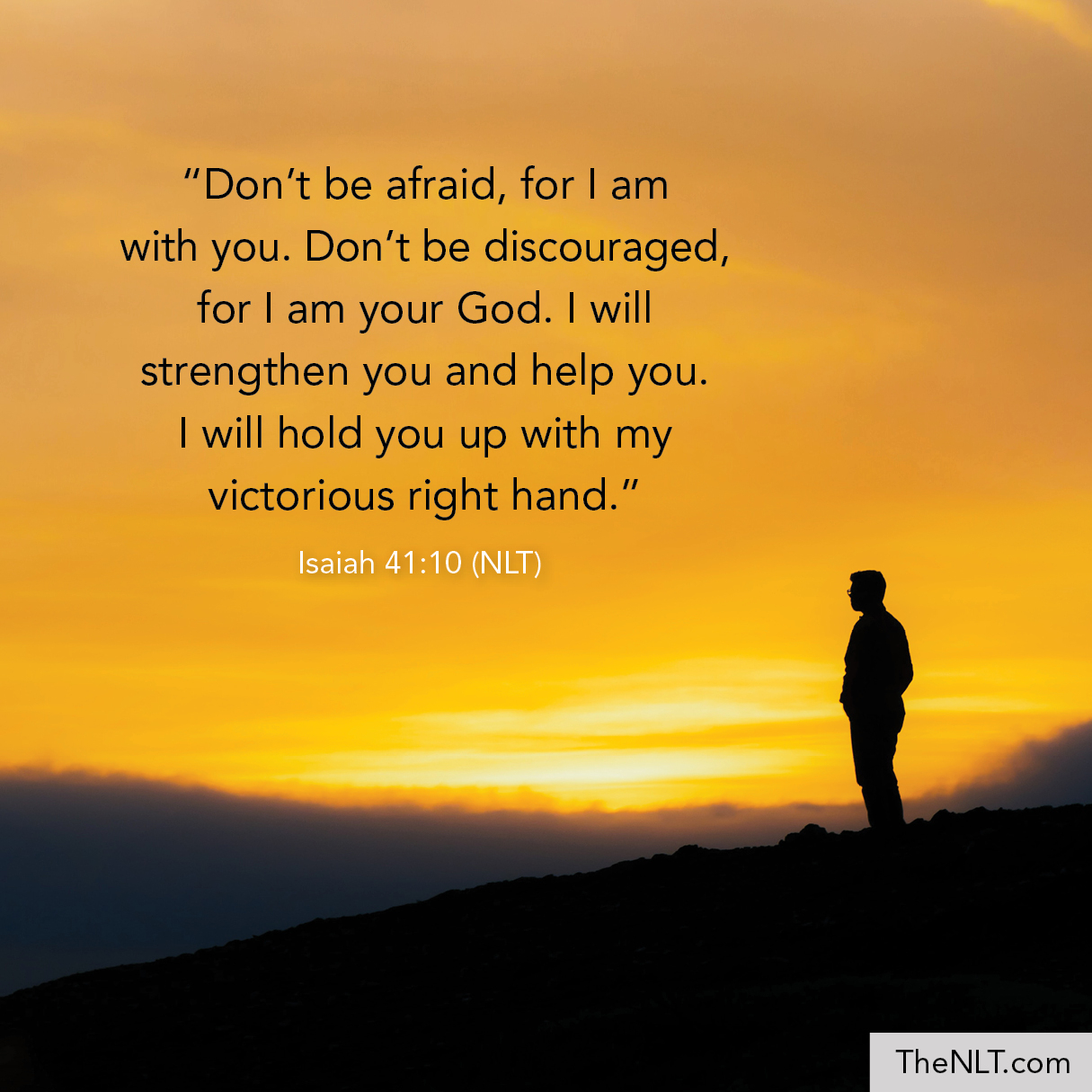 isaias 41 10 in english