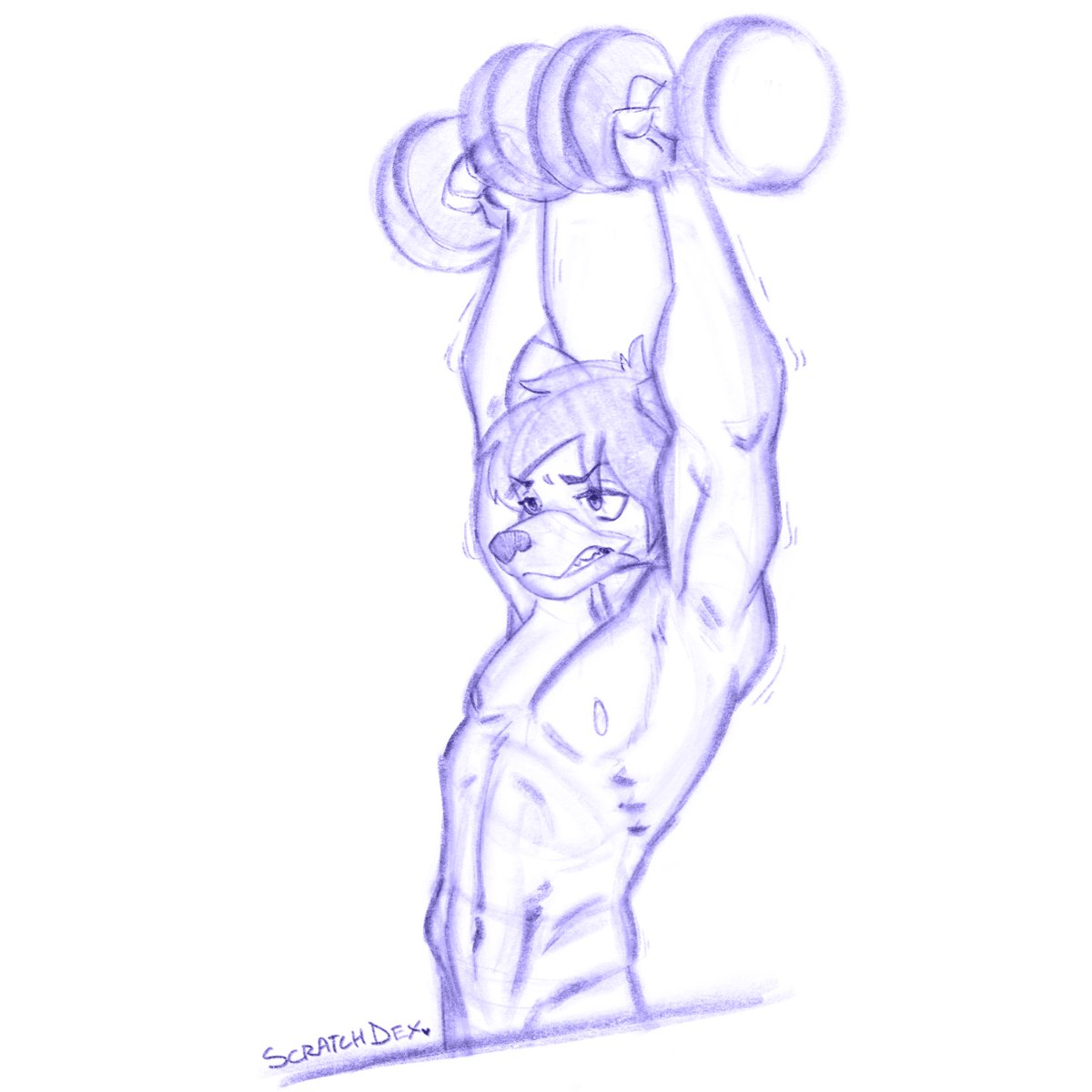Did a muscle study using my new wolf boi 💪🐺