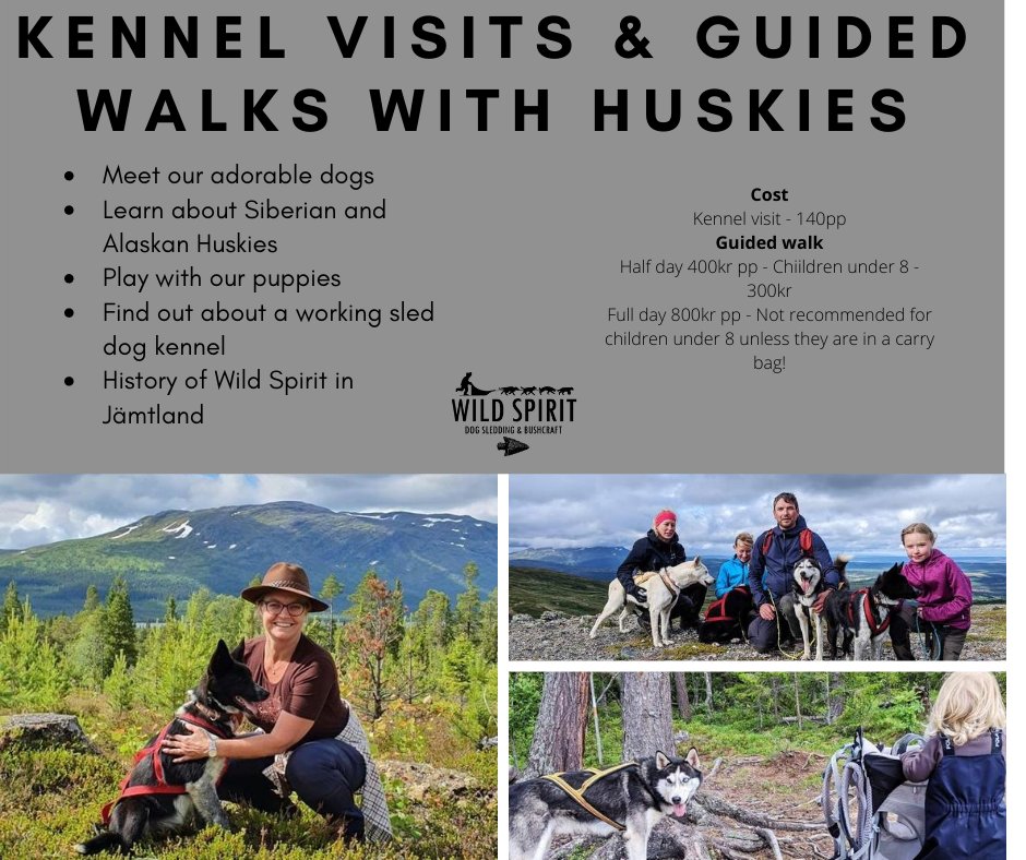 Wild Spirit Newsletter - August 2020 - mailchi.mp/dcf492d57de8/w…