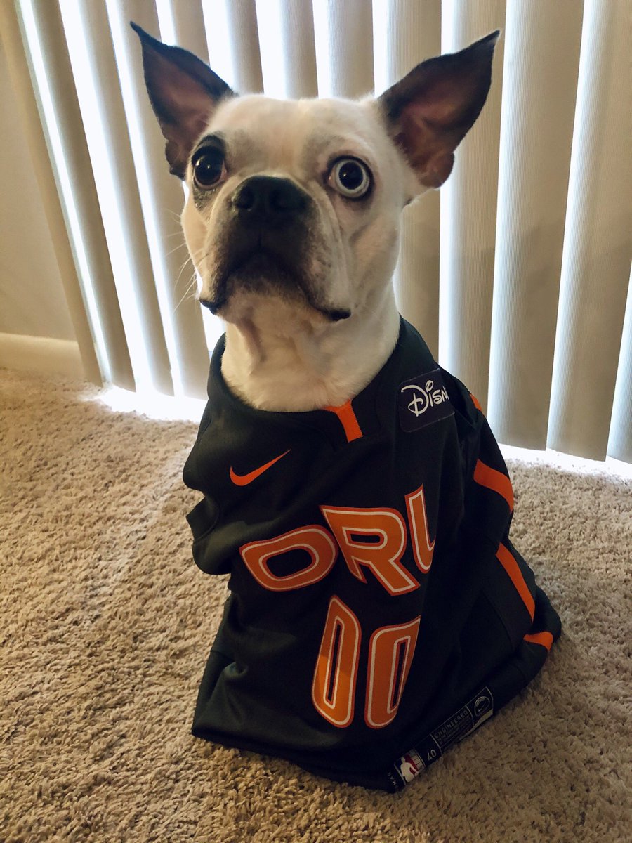 NextJennLife's tweet image. We’re rooting for ya @OrlandoMagic ! #MagicAboveAll  #magicvision #WholeNewGame #magiconfox