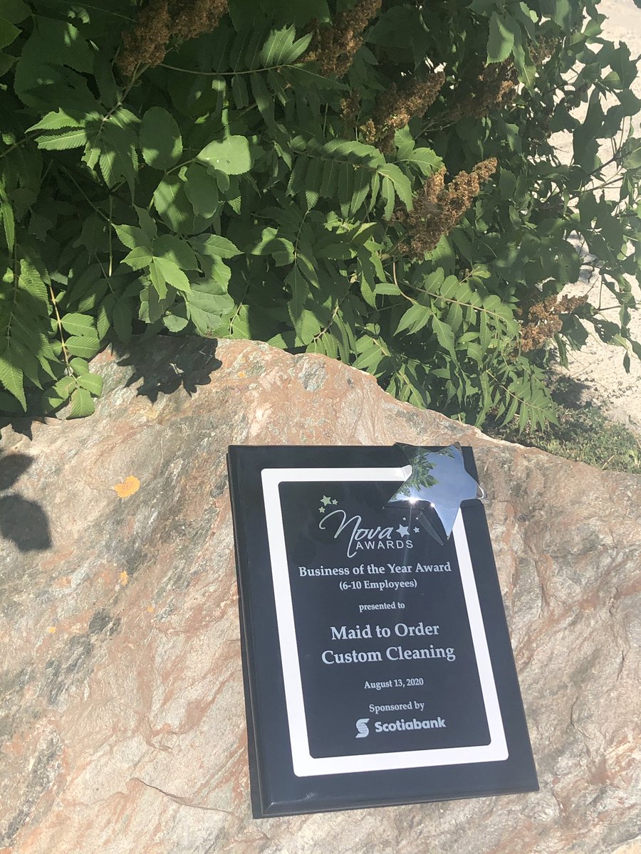 TimminsChamber's tweet photo. Congratulations to Maid to Order recipient of the @scotiabank Business of the Year Award. #Nova2020 https://t.co/mlCQgCrG8r