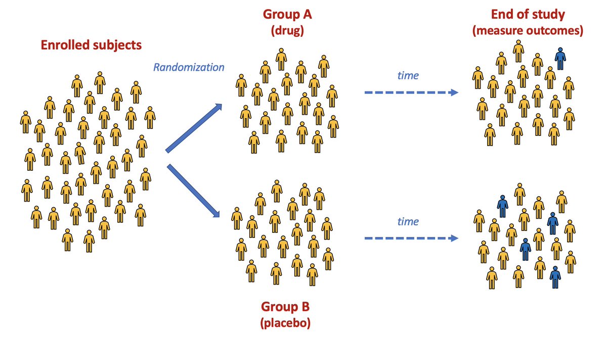 This type of study is a called a "randomized controlled trial" (RCT), and it's the only way of really knowing whether a drug works or not.Here's a conceptual RCT in which the drug appears to do something. (Seems to reduce the risk of turning blue.)/11