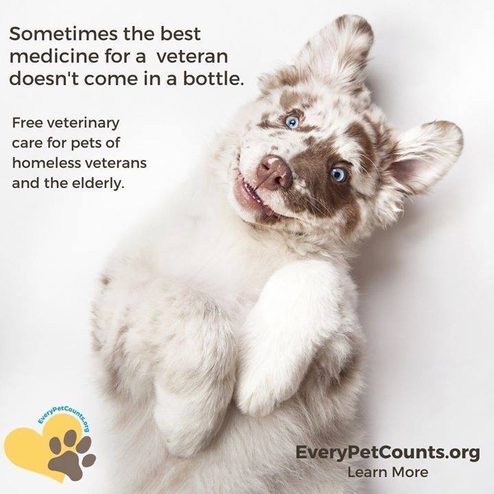 EveryPetCounts's tweet image. Sometimes we all just need to be a little goofy to keep us happy! bit.ly/2Ow48In
#goofy #happy #puppy #love #bestfriend #vetsmatter #petsmatter #doitforlove #Vets #USO #takecare #blueeyes #thursday