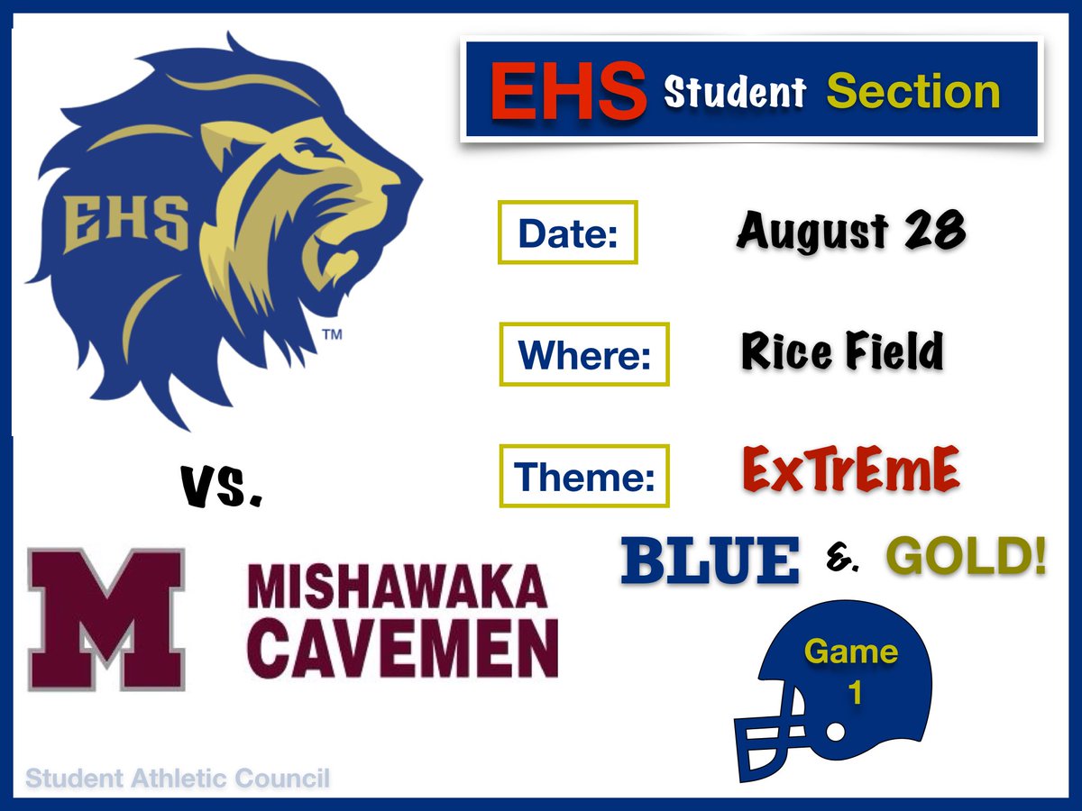‼️‼️🏈🦁15 DAYS!🦁🏈‼️‼️ #MakingHistory #LionsDen