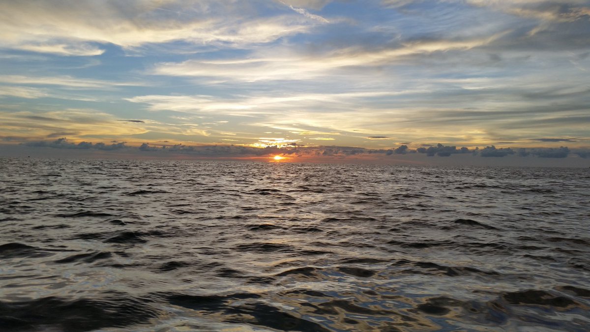 EmrickAaron's tweet photo. Florida sunset nature coast https://t.co/4qI5kUkVRm