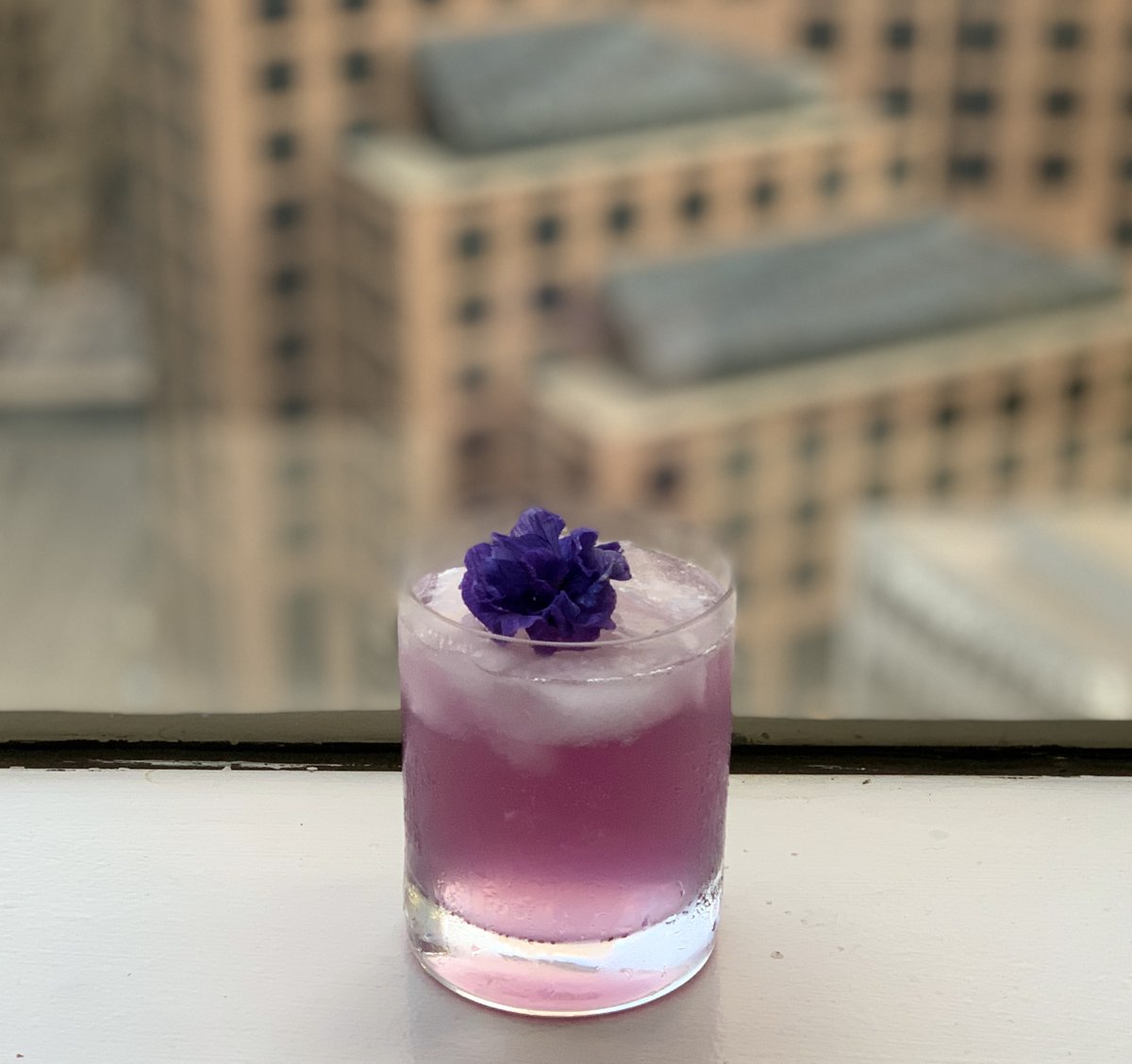 ntmarsh's tweet photo. @plantbasedchat A2: Our best drink invention is this awesome lavender cocktail we started making with @EmpressGin1908 Relaxing and delicious! #cocktails #plantbasedchat https://t.co/RSHPZCQJbb