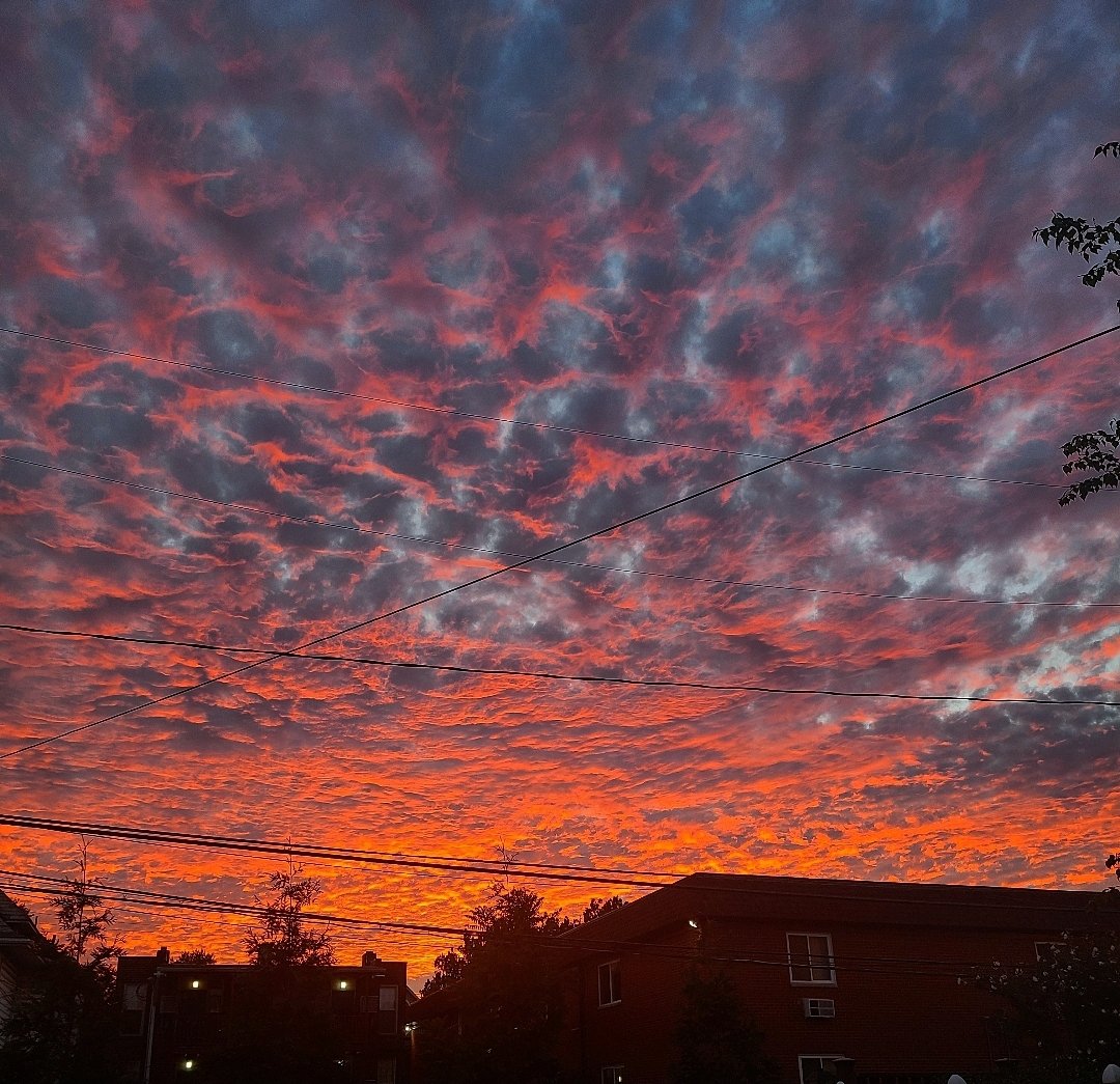 NifMuhammad's tweet photo. last couple sunsets here in the city have gone deep into the closet &amp; taken the plastic off the real good clothes https://t.co/clZk4Jgp6C