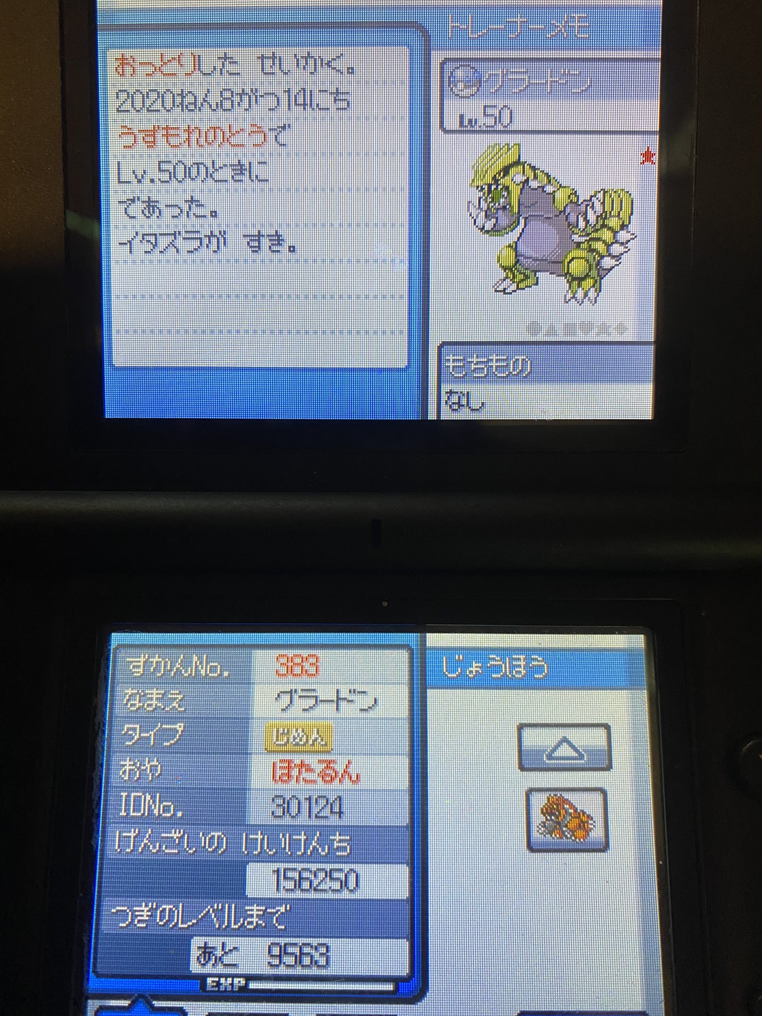 みっちぃtnアルタイル ポケ垢 改めてツイート カウントし始めて9478回目でソウルシルバーにて色違いグラードン来ました 神速急所当たって倒しかけてビビった 性格はシンクロ陽気外しておっとりになっちゃった 色違いポケモン 色違い