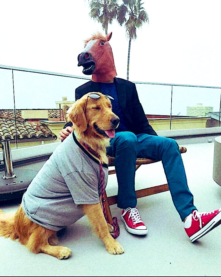 Portiistaa17's tweet photo. 🐴🍺 🐶💛 https://t.co/1V6nTZey7O