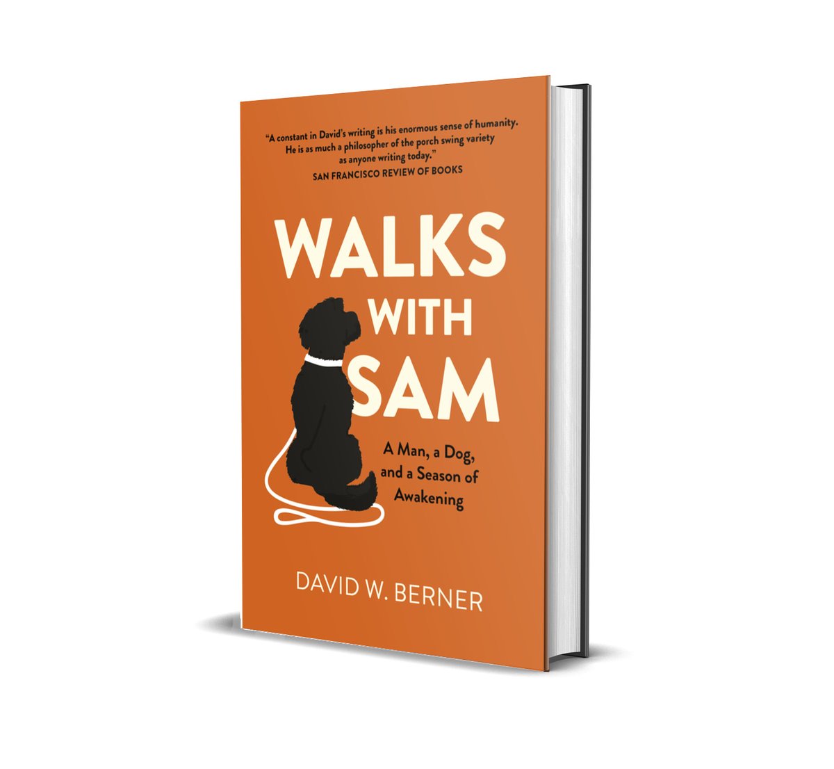 DavidWBerner tweet media