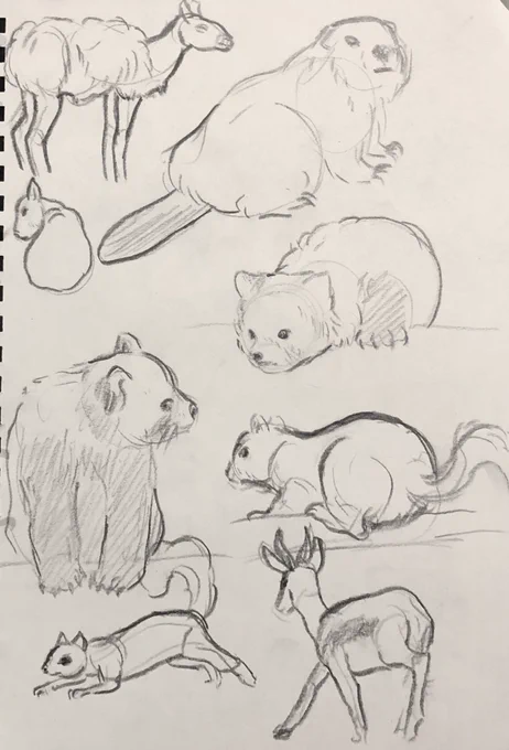 a bunch of mammals! 