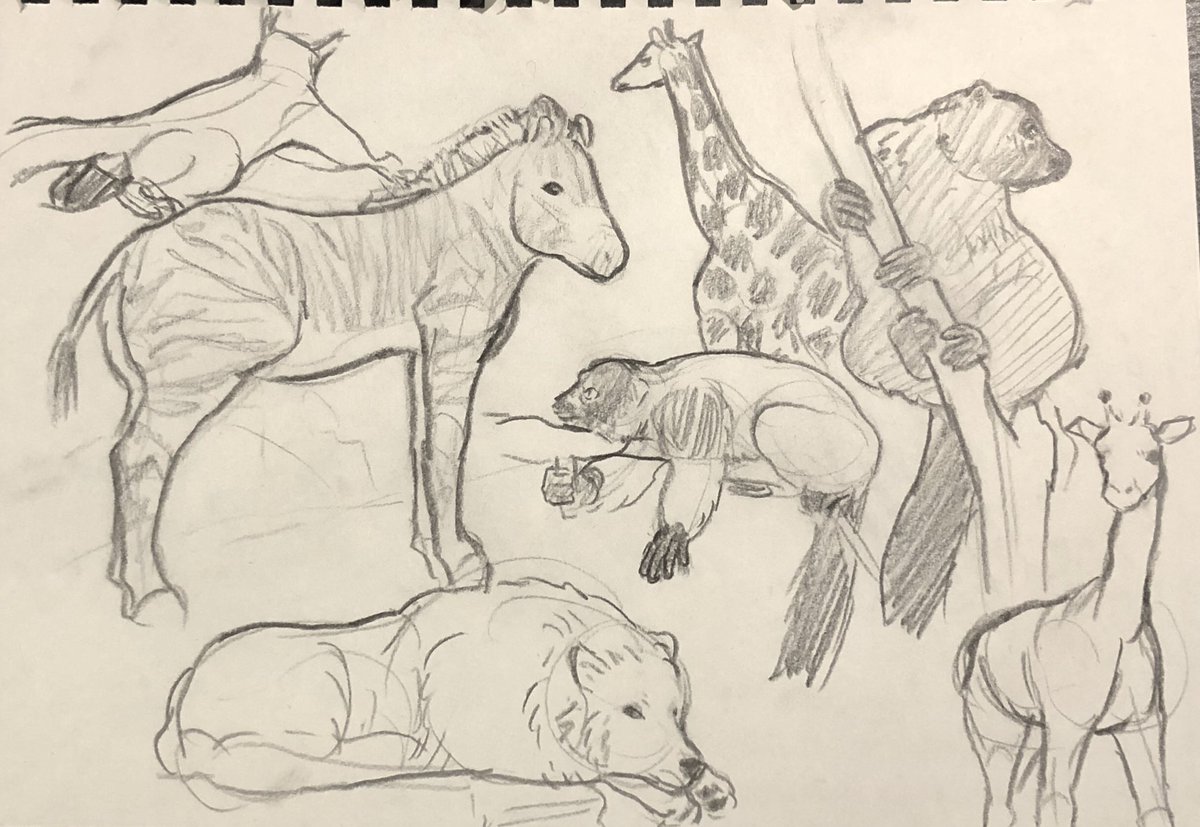 a bunch of mammals! 