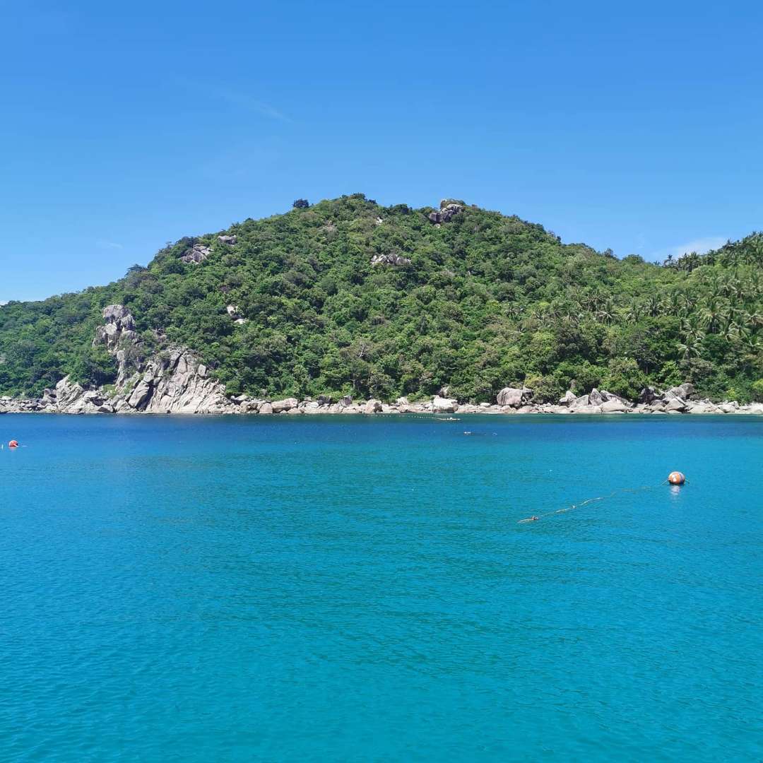 Jin85168388's tweet photo. 【タイの秘境】タオ島���行ってきました。
スキューバダイビングの聖地とも言われている綺麗な海
#タオ島 #タイトリップ #タイ旅行 #離島 #綺麗な海 #海外移住  #スキューバダイビング 
https://t.co/YaEIL86bJ1 https://t.co/0V2vrXHNYV
