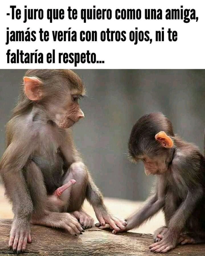 flores249's tweet photo. Si no aplicas esta técnica fallaste como macho alfa 😎👿 https://t.co/Ba6ScAsqwv