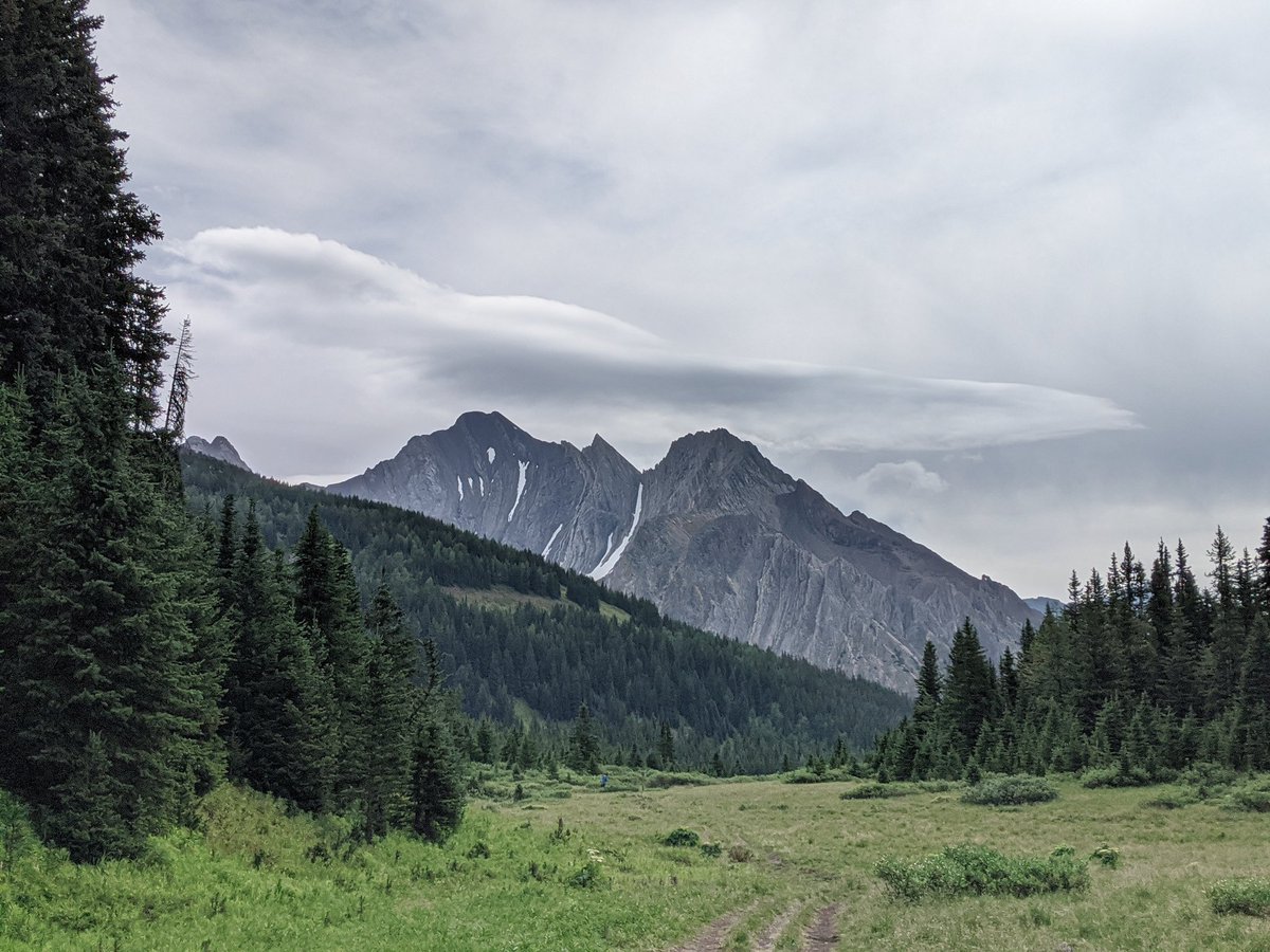 Today's hike was a failure. I got lost twice, once climbing a steep trail until I hit a rock face, then once down to the bottom of a valley- so I had to go up hill both ways to get out. Never made it where I was going. I did see a spruce grouse though, so win? #MentalHealthHikes