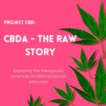 Image for the Tweet beginning: Project CBD explores the intriguing