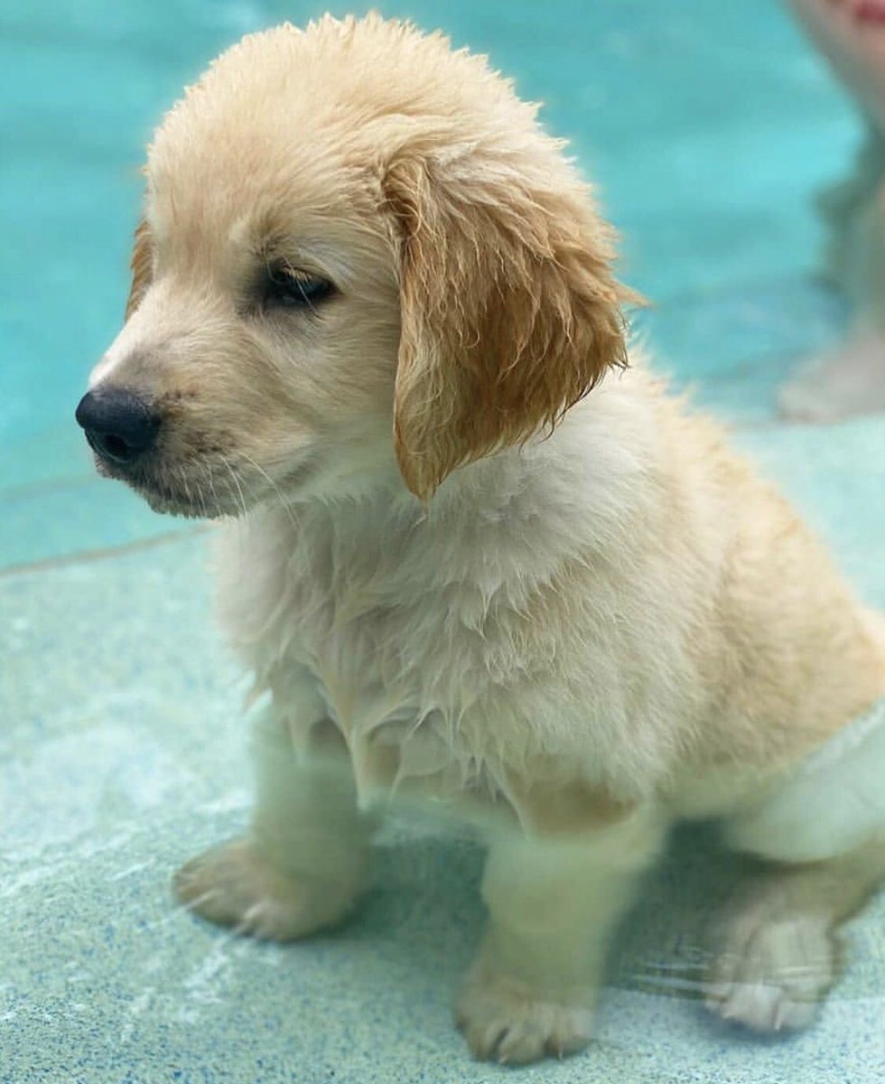 Travel Bucket List🌎 (@travlbucketlist) on Twitter photo 