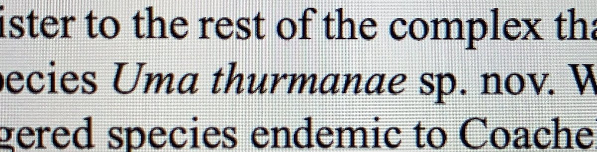 A new species of fringe-toed lizard (genus Uma) has been discovered and the scientists us all a favor and named it Uma thurmanae. I am quite pleased 😂