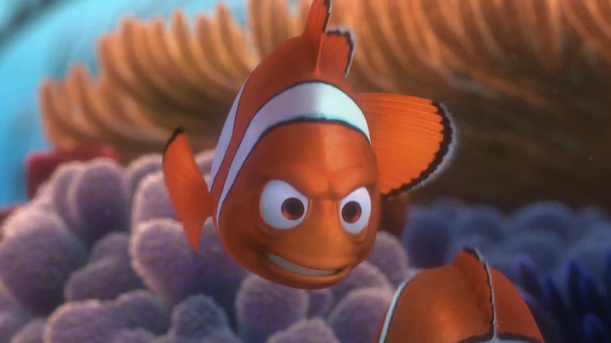 cronopiatw's tweet photo. Crees que estudiando a ultimo momento vas a llegar bien y no es así Nemo https://t.co/Y82NTwW2yx