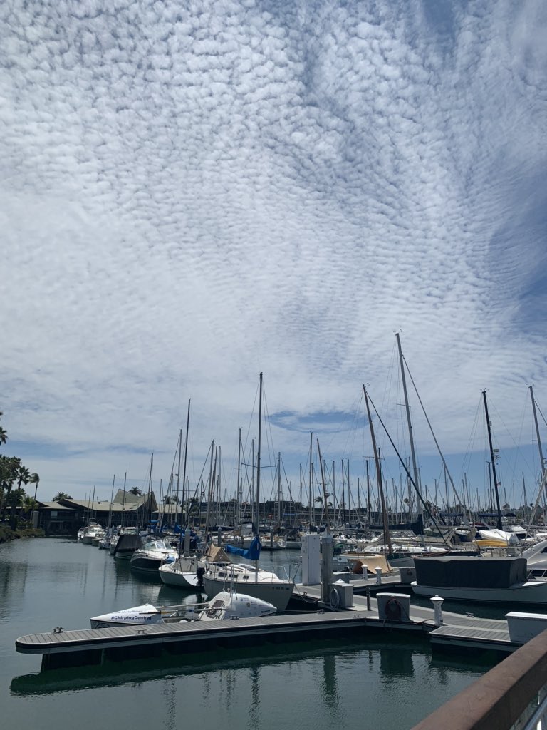 srsailingsd tweet media