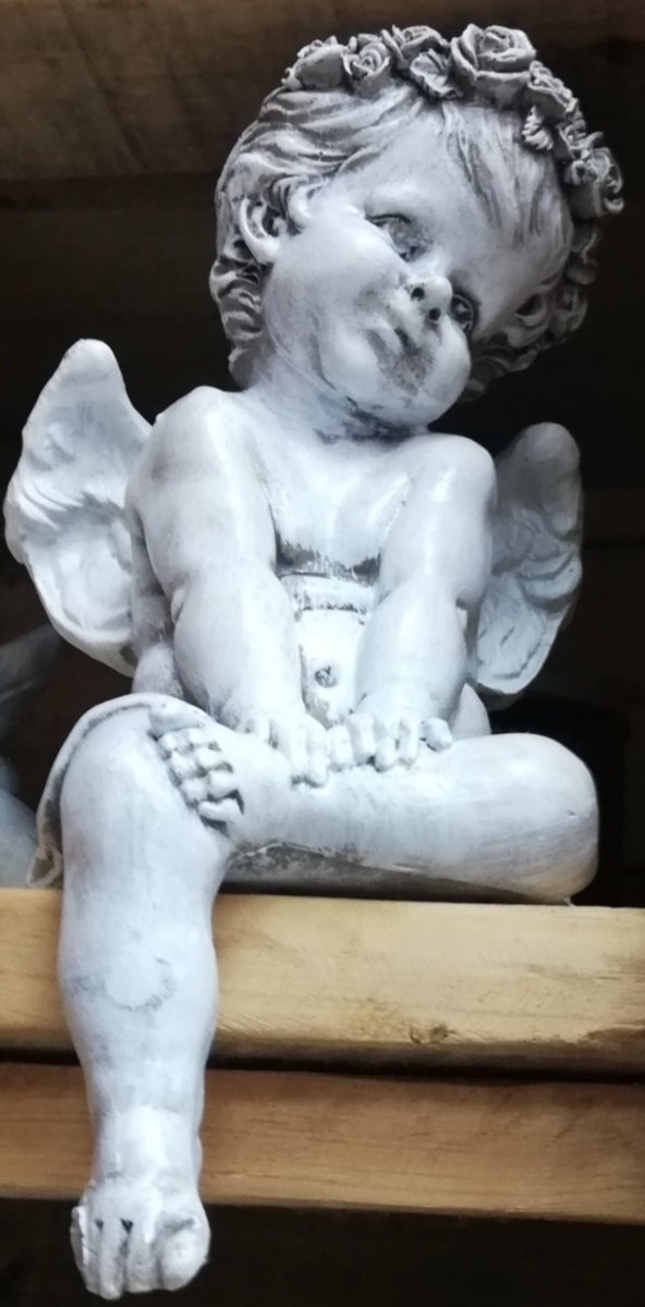 CocoChristineW's tweet photo. We all need an angel ❤️ https://t.co/On4Z4zrYlt