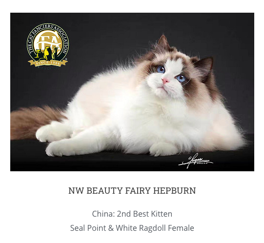 and then there is actual creampuff beauty fairy hepburn