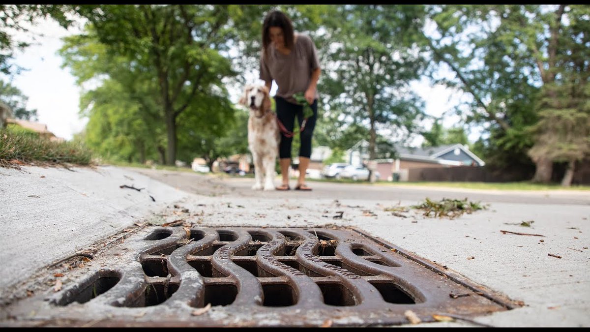 Dearborngov's tweet photo. Dearborn supports Fresh Water Week in Michigan, which runs through Aug. 16. We can all play a part to help keep storm water clean. Follow the tips in this video: https://t.co/Lq79jERiLu. #MiGreatLakesWeek #SEMCOG #FreshWater Forum #OneWater #GLWA https://t.co/alx1vorJ2z