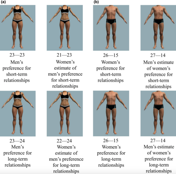  As mulheres sobrestimam a magreza que os homens preferem numa companheira; e os homens sobrestimam o peso e a musculatura que as mulheres preferem num companheiro.via  @DegenRolf https://onlinelibrary.wiley.com/doi/10.1111/bjop.12451