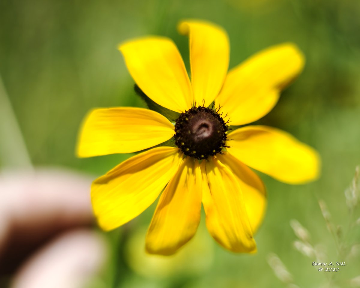 Barry Sell Photographer / Digital Art (@barrysellphoto) on Twitter photo 