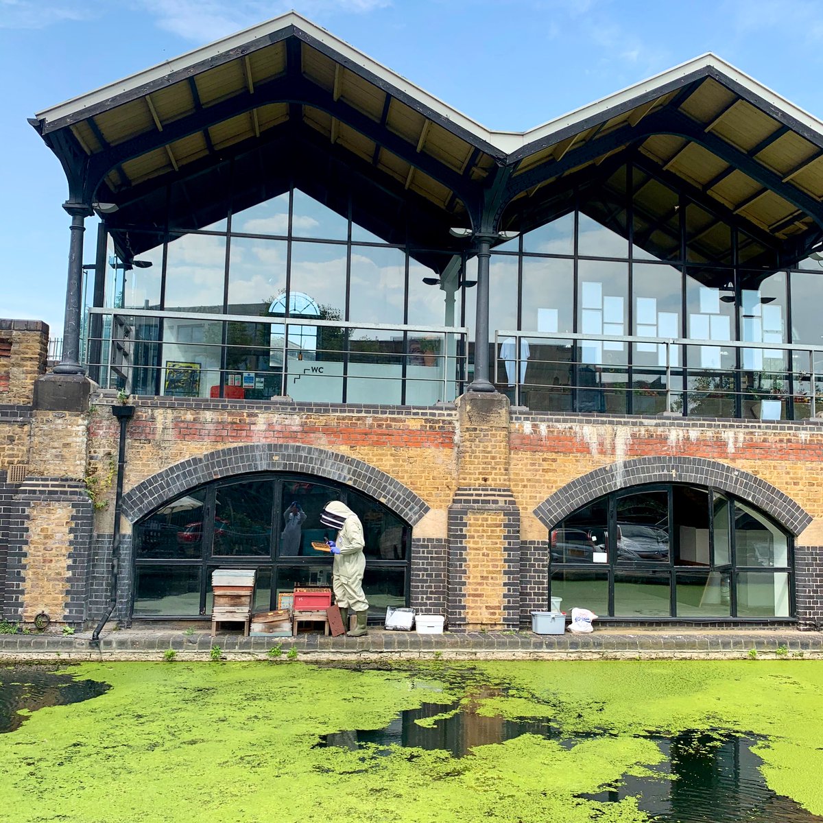 A routine inspection of the bees at #portobellodock by our Seasonal Bee Inspector - all in excellent health, the perfect ambassadors at this amazing location for <a href="/StevieParle/">Stevie Parle</a>’s new restaurant venue. Despite lockdown, enterprising spirits are rising through the uncertainty. Bravo!