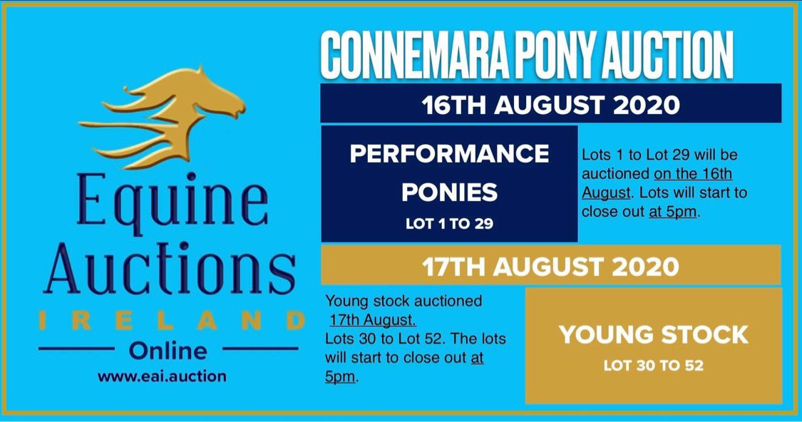 Equine Elite Ireland tweet media