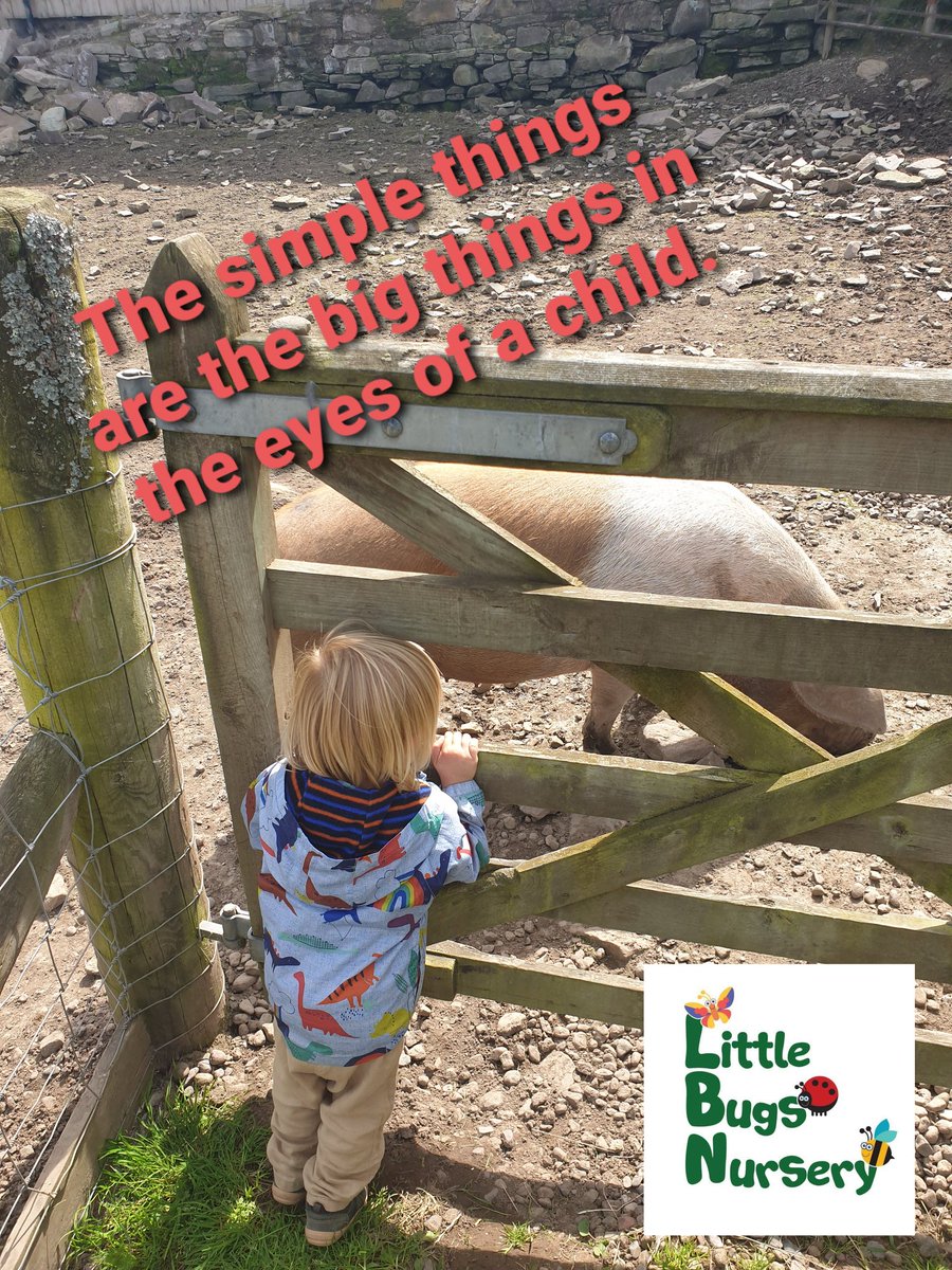 Little Bugs Nursery tweet media