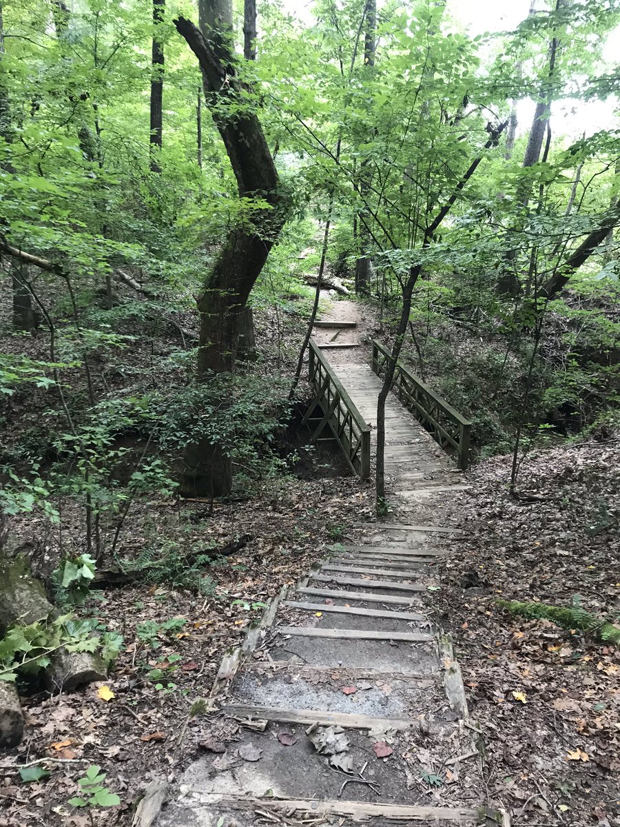 EnvTSu's tweet photo. #MyMomentToBeWell walking the trails at Chattahoochee River @ Medlock Bridge Aug2020 https://t.co/nNaBVdqbqG