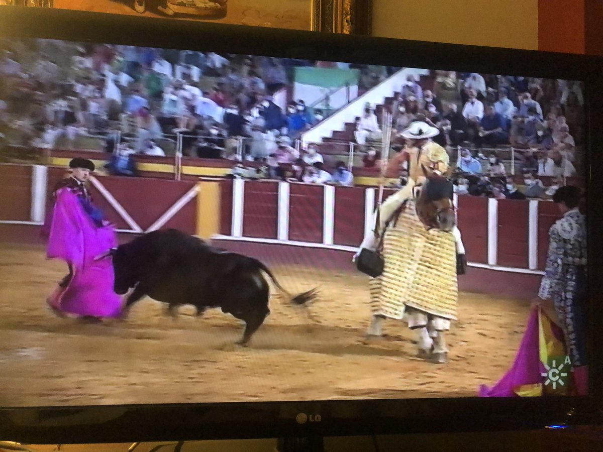 <a href="/RFAF/">RFAF</a> <a href="/DeporteAND/">Deportes Andalucía</a> @huelva24deporte <a href="/Estadio_ED/">Estadio Deportivo</a> <a href="/diariocadiz/">Diario de Cádiz</a> <a href="/SURDeporte/">SUR Deporte</a> <a href="/cordoba/">Diario CÓRDOBA</a> <a href="/ideal_granada/">ideal_granada</a> <a href="/eldeportedejaen/">El Deporte de Jaén</a> <a href="/LaVozDeporteAlm/">La Voz Deportes</a> <a href="/csurDeportes/">CanalSur Deportes</a> <a href="/EducaAnd/">Consejería Desarrollo Educativo y FP</a> <a href="/saludand/">Consejería de Sanidad, Presidencia y Emergencias</a> no llego a entender que se le prohíba a menores de 16 años practicar fútbol y se permita la entrada de público a las corridas de toros..., es indefendible lo que está ocurriendo....SIN PALABRAS.