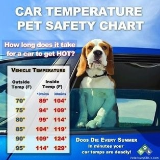 DbqLive's tweet photo. ANIMAL CONTROL: 4200 Dodge St, at @walmart for a  black Kia, with Illinois temp tags in row 11. Caller states there is a dog in the car that appears to be in distress. #Dubuque https://t.co/7zuuq3iby2
