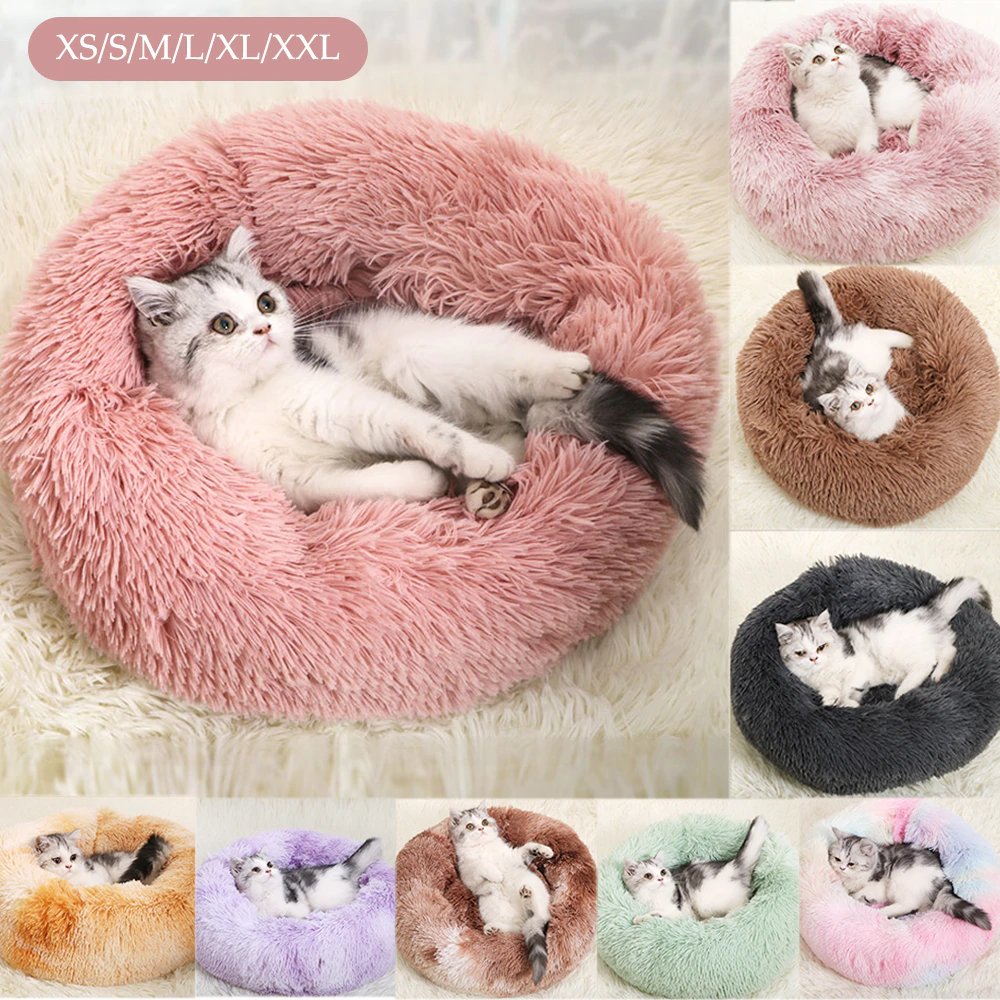 fluffy cat beds! this almost makes up for the anti-cat spikes.almost.