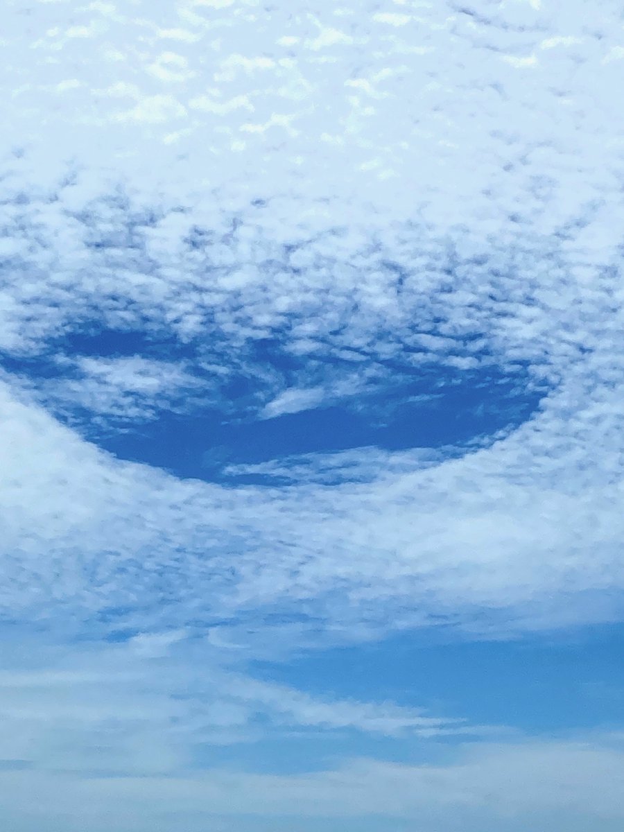 Rough Terrain tweet media