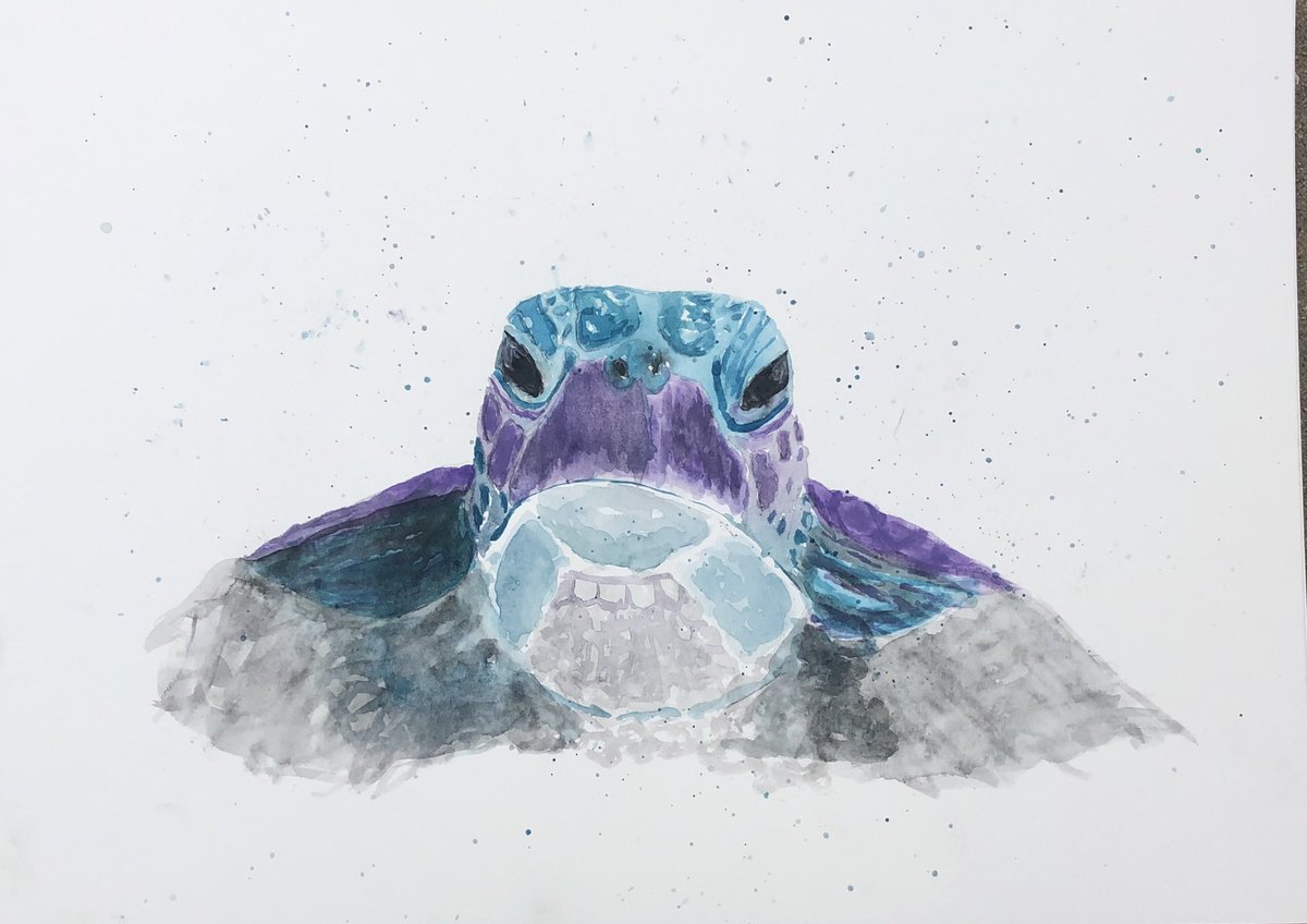 carusel777's tweet photo. Day 11 Animalpalooza: “Whatcha Doing? ” I absolutely love sea turtles. What do you think he’s looking for? Comment below ⬇️
#seaturtlelover #oceanlife #seaturtlepainting #seaturtle #artist #southcarolinaartist #animalart #turtlepainting #drawing #seaturtles #seaturtleart https://t.co/Xcar6735F2