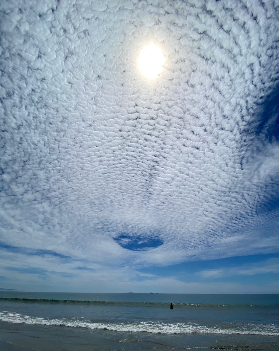 Rough Terrain tweet media