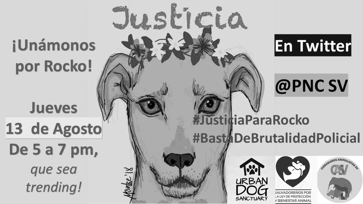 BeaOlmedo7's tweet photo. Justicia para Rocko 😔 @PNCSV @PresidenciaSV @lamanadadepick https://t.co/WKGtgvdwCE