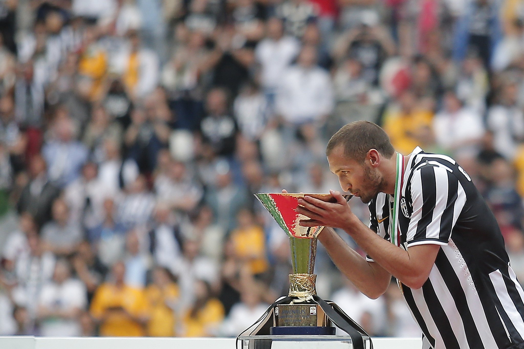 Defender! Warrior! Leader! Captain! 
Happy Birthday Giorgio Chiellini   