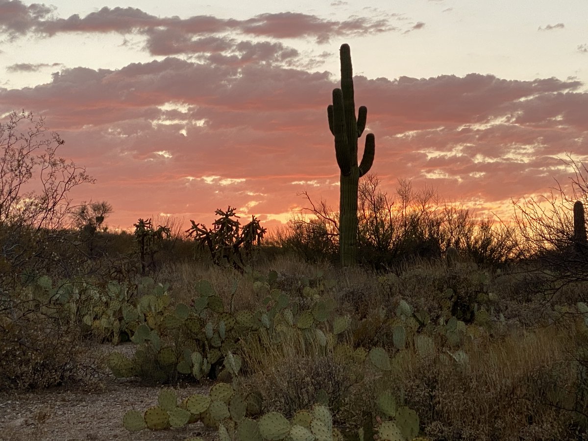 Laura Miller tweet media