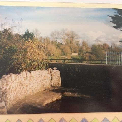 Freshford Tidy Towns tweet media