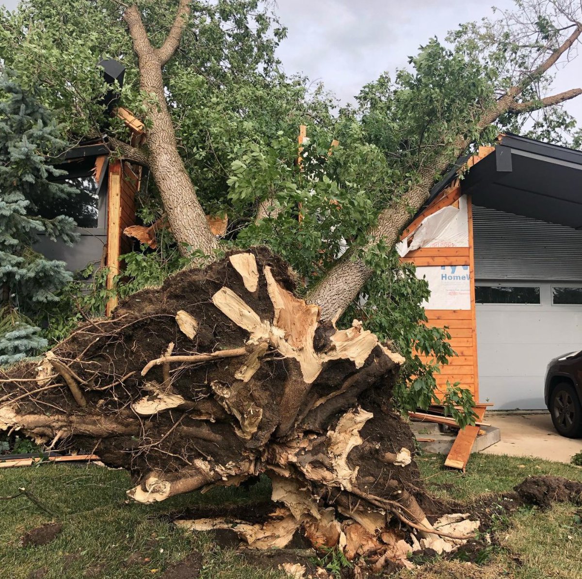 jschnip's tweet photo. In case you hadn't heard (no national news coverage, no FEMA?), there was a Hurricane in Iowa on Monday (called a Derecho) it's devastating to see our friends and family deal with the destruction (homes, businesses &amp; crops) #sendprayers #fu2020 https://t.co/tQaChWzWH7