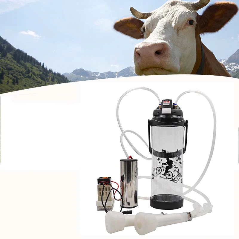 The cow judges your portable sheep goat milker